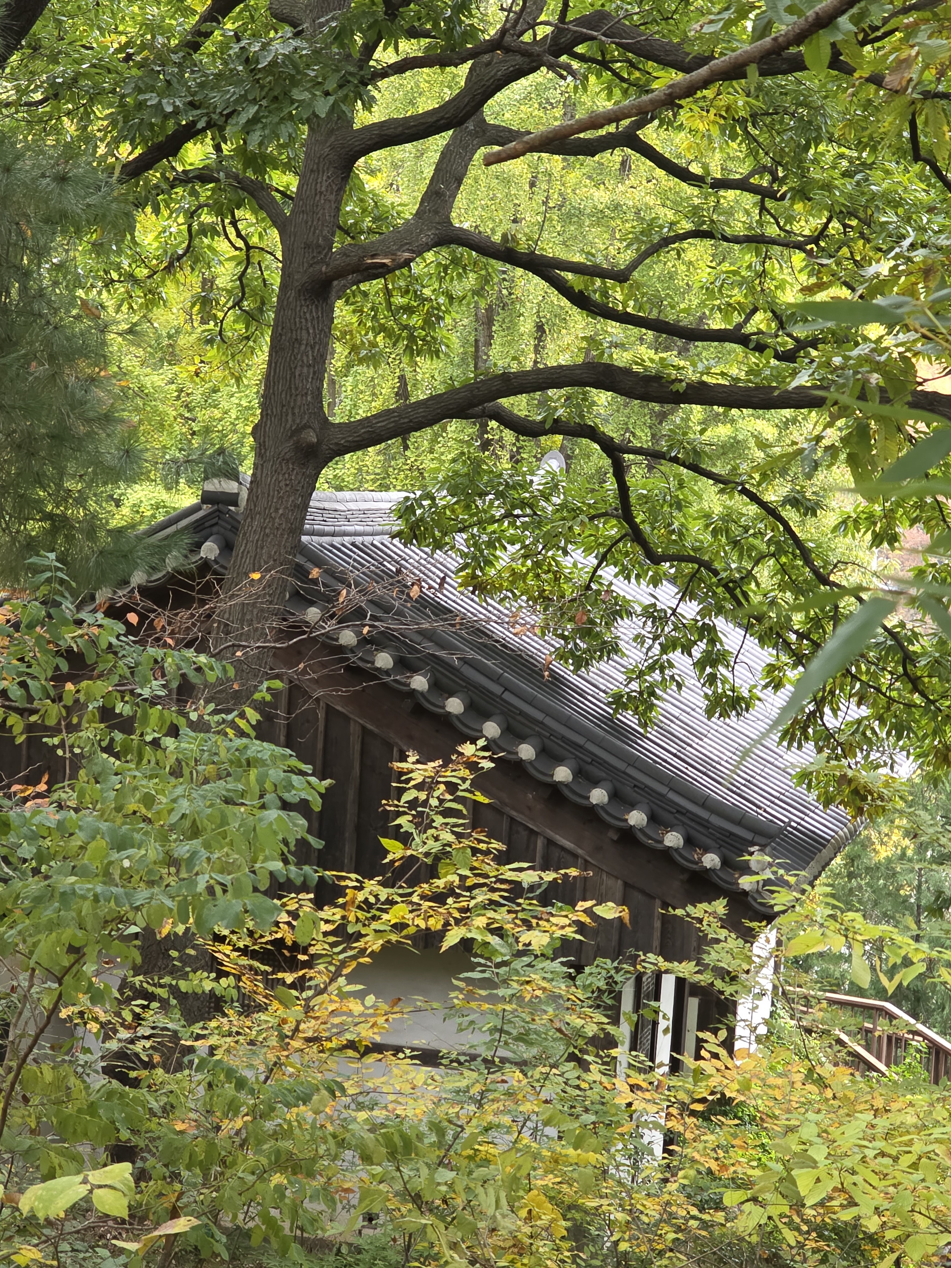 전주, 우주가(宇宙家)의 중심 도시를 준비하다
